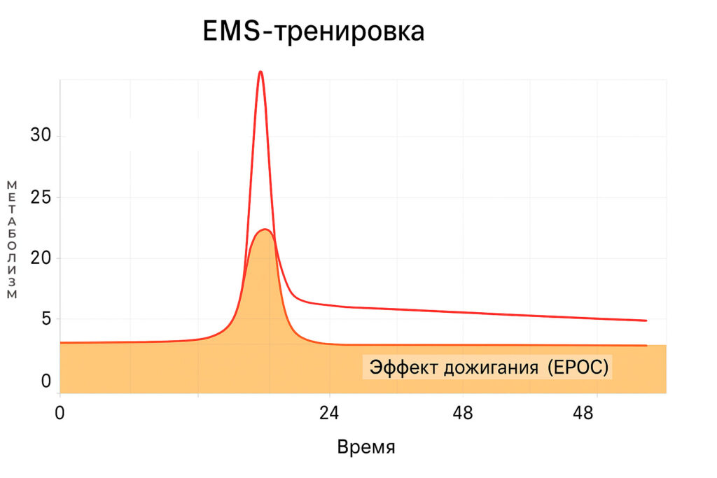 График эффекта дожигания калорий после EMS тренировки